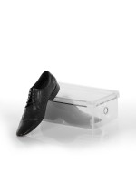Коробка для хранения мужских туфель со съемной крышкой 34*21*12